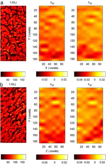 Fig. 6. Macroscopic principal strains as functions of the longitudinal position of the gauge volume for the ﬁrst loading step (a) and for the second loading step (b).