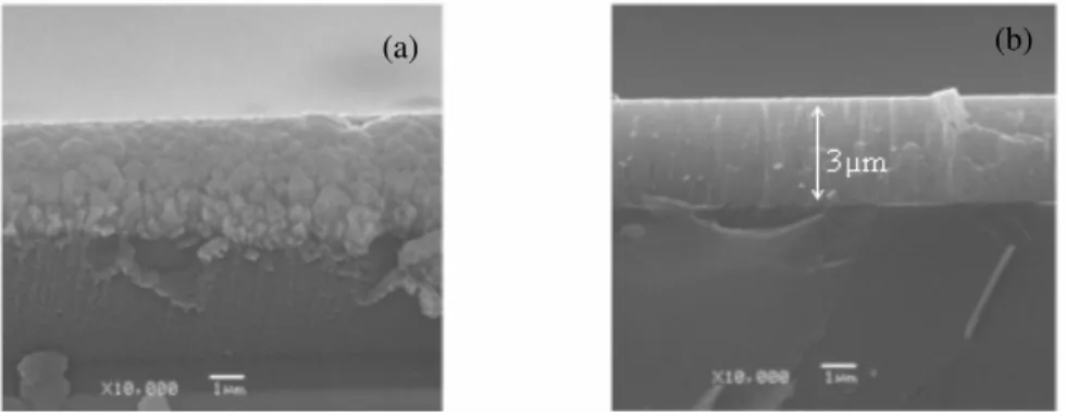 Fig 1: 1.a: Scanning electron micrograph of CrAlN layer in the state of growth;