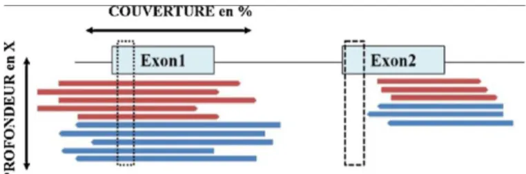 Figure 3 : Représentation de la profondeur et couverture en séquençage haut débit (Image  issue de Lacoste et al., 2017(55)) 