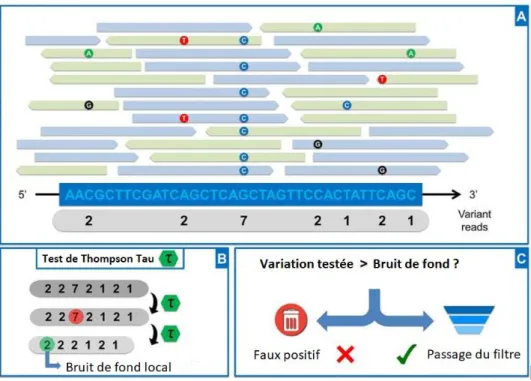 Figure 4 : Le principe de l’analyse par Outlyzer  (Image traduite de Muller et al.,  2016  (62)) 