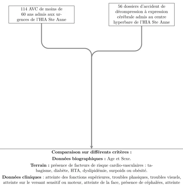 Figure 3.3 – Comparaison des accidents de décompression aux accidents vasculaires cérébraux.