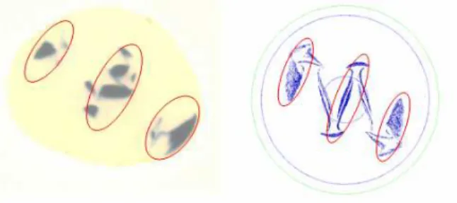 Figure  6:  Confrontation  of  the  experimental  results  (system 1) with the numerical simulation 