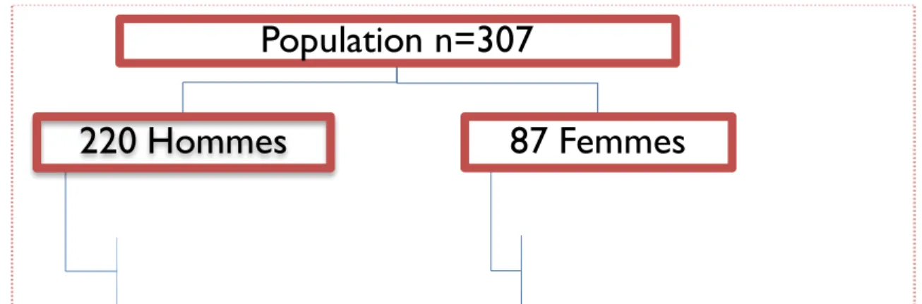 Figure 9 : Répartition de l’âge exprimé en années chez l’ensemble de la population et chez les VHE  positifs
