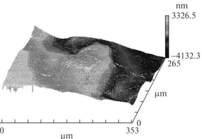 Fig. 6. Smallscale fluctuations of the sample surface behind a localizeddeformation wave (surface profile).