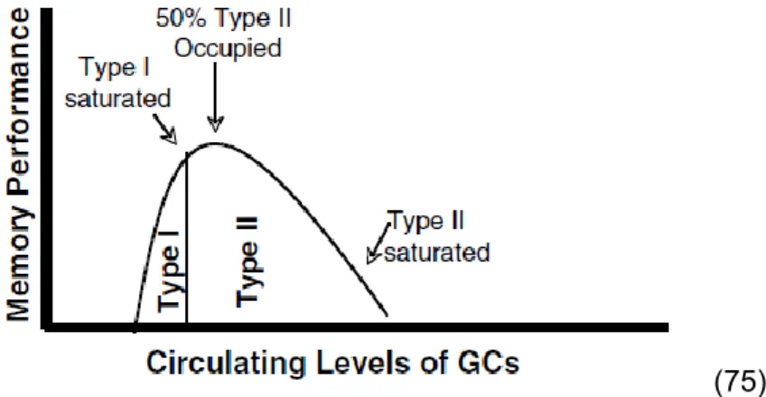 Figure 6 : Taux d’occupation des récepteurs aux glucocorticoïdes (Type I: MR ; Type II: GR)  selon le taux de glucocorticoïdes circulants, et ses conséquences  