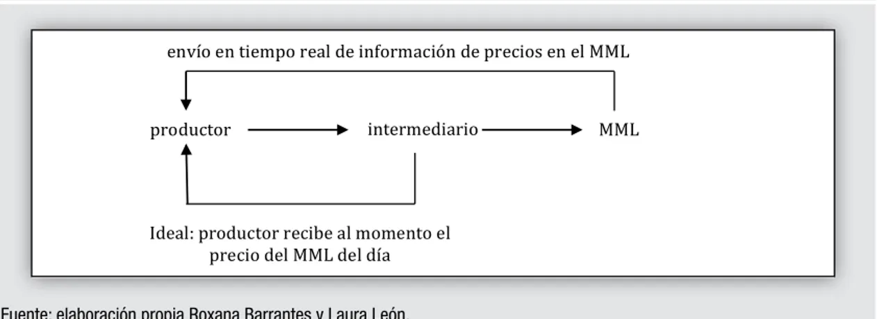 Figura 6: Modelo de intervención en la cadena de comercialización para pequeños productores que venden a intermediarios