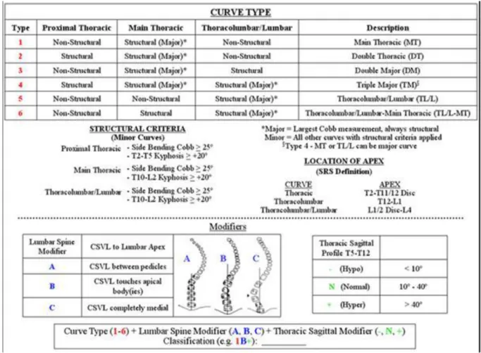 Figure 11. Classification de Lenke.[46] 