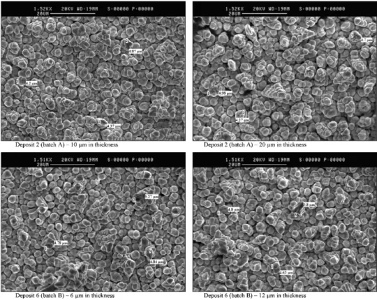 Fig. 8. SEM micrographs of two tin–20 wt.% zinc alloy coatings.