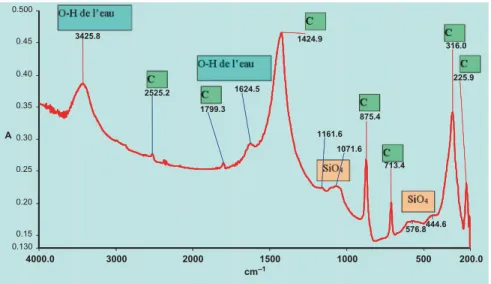 Fig. 2. Spectre du biofilm de la figure 1, après calcination à 550 °C durant 30 min.