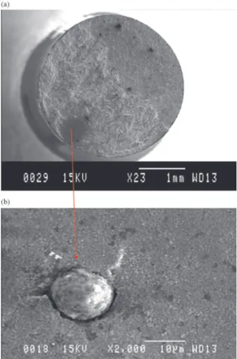 Fig. 7 Modelling of fish eye.
