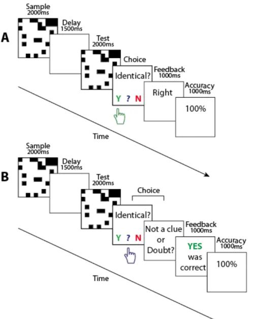 Figure  4  Essai  certain  (A)  et  essai  incertain  (B)  dans  la  tâche  d'incertitude