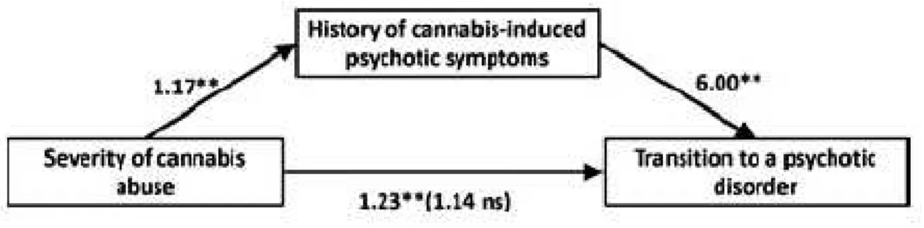 Figure  5:  Mediation  model  illustrating  history  of  cannabis-induced  attenuated  psychotic  symptoms  (APS)  as  a  mediator  of  the  relationship  between  severity  of  cannabis  abuse  and  transition to a psychotic disorder (n=109) 
