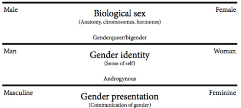 Figure 1. Echelle du sexe biologique, de l’identité de genre et du rôle de genre (2) 