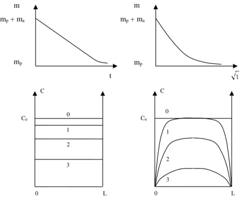 Figure 7.7. Migration controlled by evaporation (left) and by diffusion (right). Top: shape of  the kinetic curves of mass evolution
