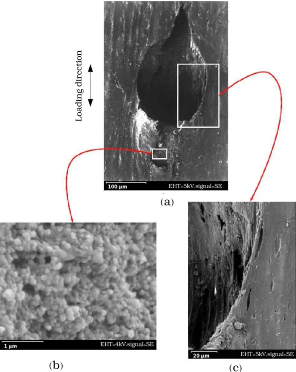 Fig. 4. SEM image of a crack initiation under relaxing conditions on a diabolo specimen (loading ratio R= −0.3).