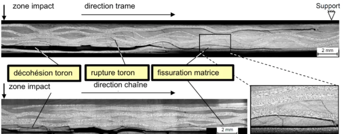 Fig. 4. Map of diﬀusivity issued from thermography method.