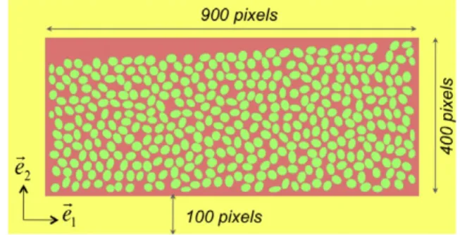 Fig. 4. Numerical model from a micrography: (a) micrography of a ply transverse section in a carbon ﬁbre/ epoxy composite, (b) object analysis: elliptical sections of ﬁbres, (c) mesh of the ply microstructure: ﬁbres and matrix.