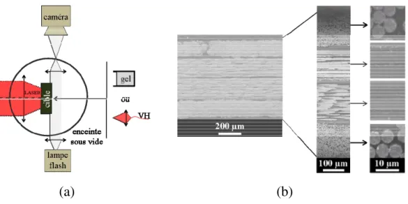 Fig. 2. Configuration expérimentale : (a) schéma du dispositif, et (b) observation microscopique d’un composite 4 plis en vue de coupe avec grossissement de la microstructure des plis.
