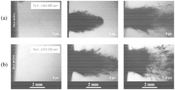 Fig. 4. Visualisations transverses en face libre des fibres éjectées d’un composite 4 plis soumis à un choc de forte amplitude : (a) 1602 GW.cm −2 (Tir 3), et (b) 2279 GW.cm −2 (Tir 4)