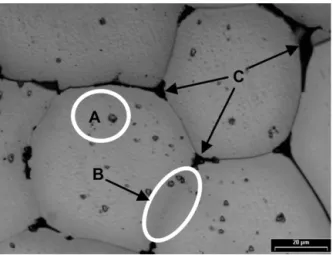 Fig. 9. Microstructure of 7075 alloy after induction reheating at 580 ◦ C and main- main-tained for 13 min.