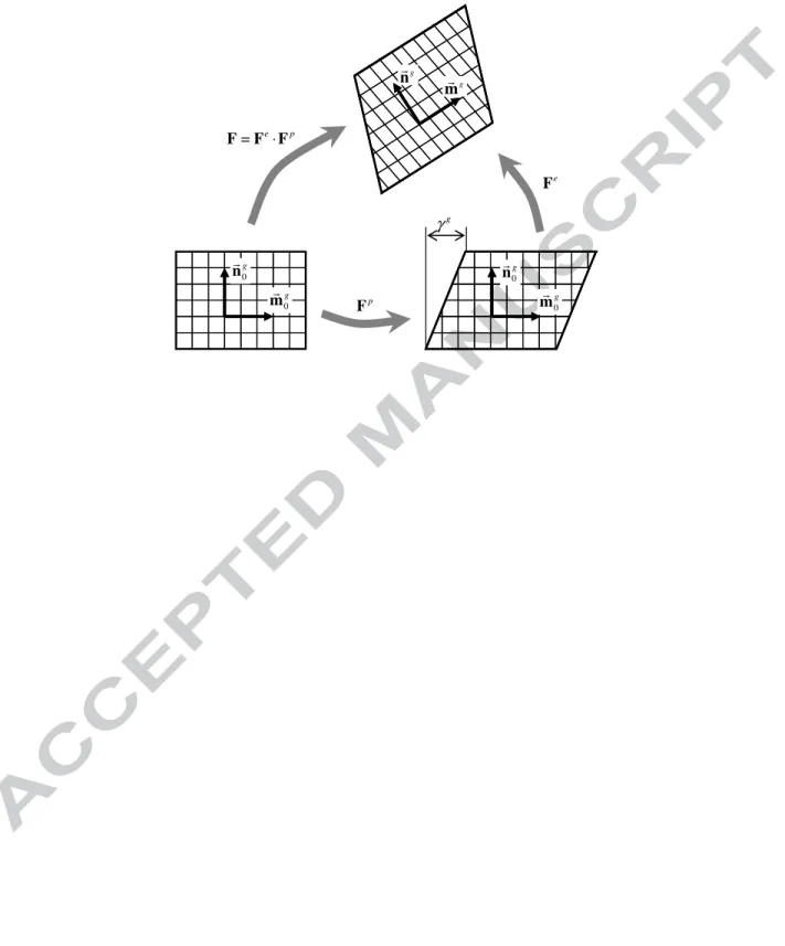 Fig. 1. Schematic representation of the multiplicative decomposition of the deformation gradient: 