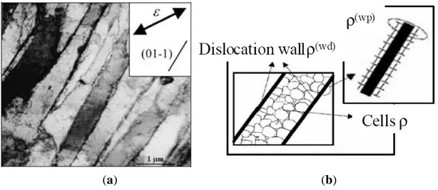 Figure  1.  (a)  Longitudinal  plane  view  transmission  electron  microscopy  (TEM)  micrograph  of  a  grain  of  an  IF-steel  (interstitial-free  steel)  specimen  after  20%  uniaxial  tension in RD (after Peeters et al