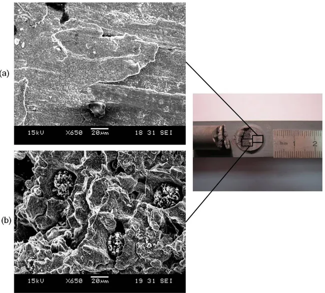 Figure 8. SEM details views of the 1.6 m.s -1  _-10° specimen cut face in (a) the cut area (A C ) ; (b) the fractured area (A F )