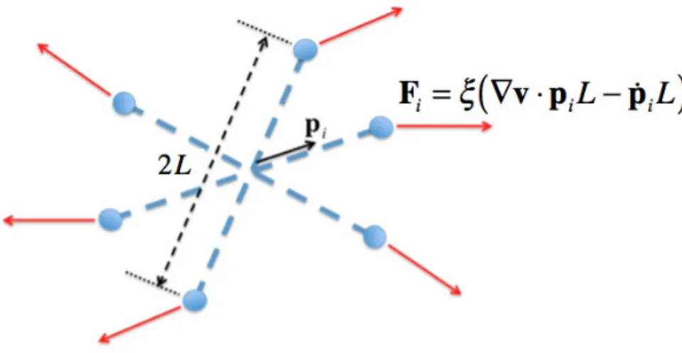 Figure 2. Hydrodynamic forces applied on a rigid cluster composed of rods.