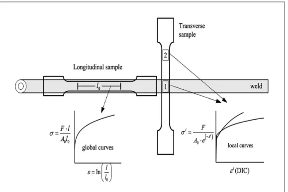 Figure 1.16 Global strain of the specimens estimated with extensometer,  local deformation fields characterised using DIC [43] 