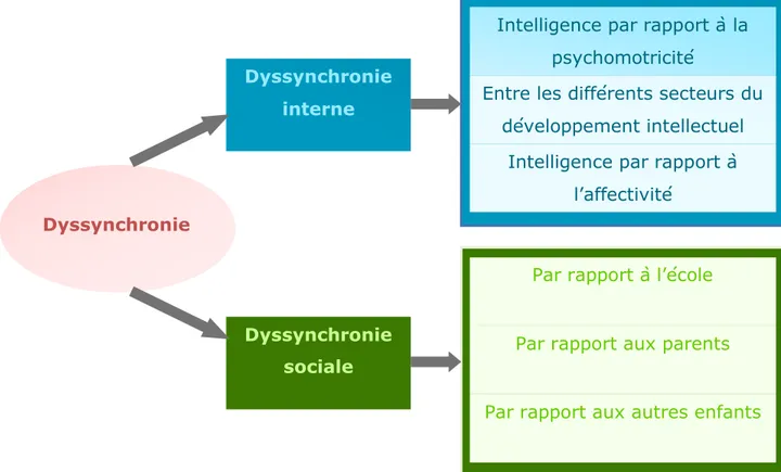 Figure 10 : La dyssynchronie selon TERRASSIER  a)  La dyssynchronie interne 