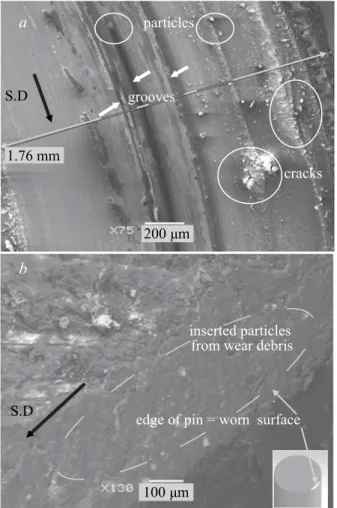 Fig. 4.  Example of SEM micro- micro-graphs of: wear track on disk  carburized C1 (a) and the  cor-responding counterpart worn  surface of pin wood after  pin-on-disk test (b)