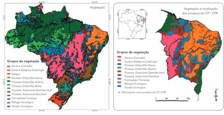 Figura : Mapa de classes de  vegetação do Brasil (IBGE, 1993).