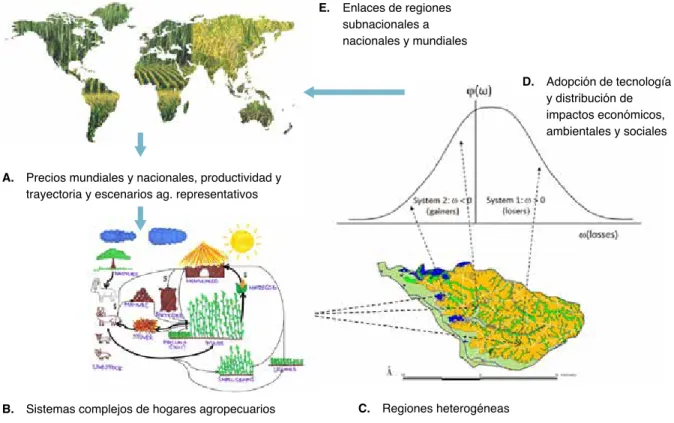 Fig. 2. El  enfoque de Evaluación Regional Integrada del AgMIP simula el impacto del cambio  climático, la vulnerabilidad y la adaptación por medio de datos sobre el clima, modelos de  simulación biofísica y modelos económicos que representan una población