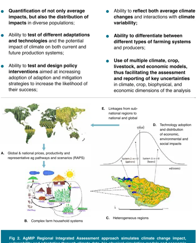Fig 2.  AgMIP Regional Integrated Assessment approach simulates climate change impact,  vulnerability and adaptation through climate data, bio-physical simulation models and economic  models representing a population of heterogeneous farm household systems