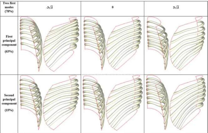 Figure 5: Effects of the two first mode of deformations for parameterized trajectory on  surface (V coordinates) reconstructed from PCA-model for ribs R3 to R9 (R2 and R10 were 