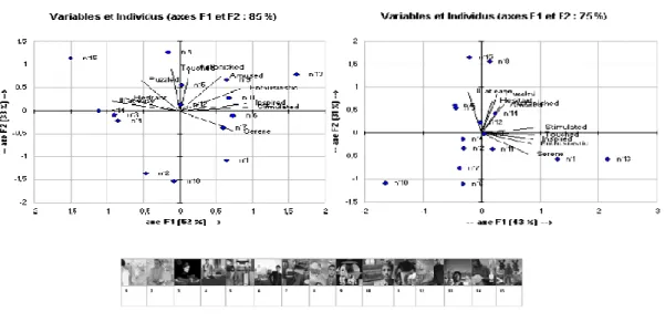 Figure 1. Semantic and emotional evaluation of moodboards (Bouchard &amp; al, 2009) 