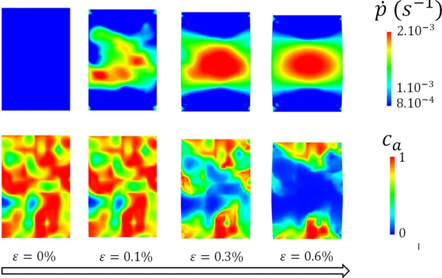 Figure 11: Evolution of localization of strain rate (up) and ageing concentration (bottom) during a compression test with strain rate of 1  10 −3 s −1 and temperature of 1200°C, in the case when the final shape of the pellet is slightly asymmetrical