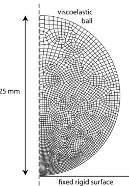 Fig. 4 Mesh used in the finite element simulations.