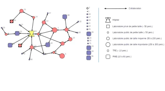 FIGURE 2 – Les relations de collaboration