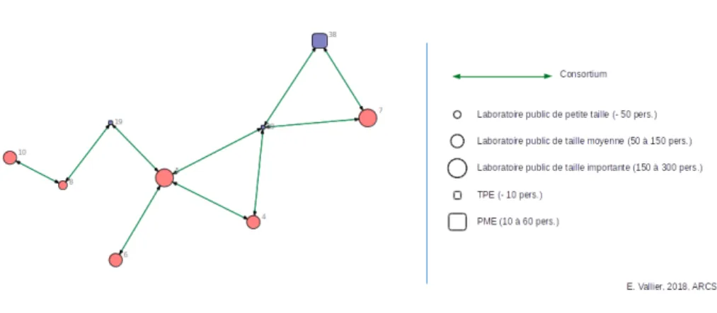 FIGURE 6 – Les relations de consortium