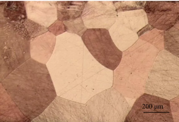 Figure 2. Microstructure of the studied alloy (optical  microscopy).