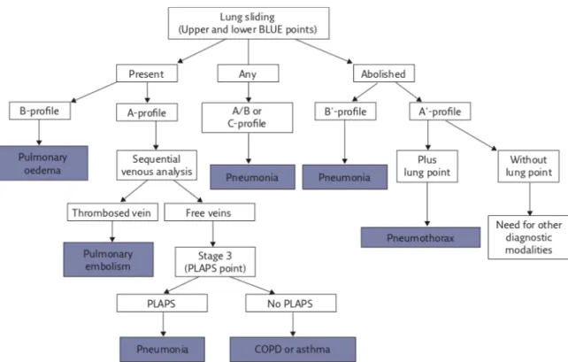 Figure 1 - Arbre décisionnel du Blue Protocol utilisant l'échographie pulmonaire et veineuse comme aide au diagnostic des  difficultés respiratoires (27) 