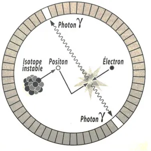 Figure 8. Principe de l’émission d’un positon et de la détection des deux photons gamma générés au  cours du processus d’annihilation