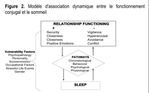 Figure 2.  Modèle  d'association dynamique entre le fonctionnement  conjugal et le sommeil 