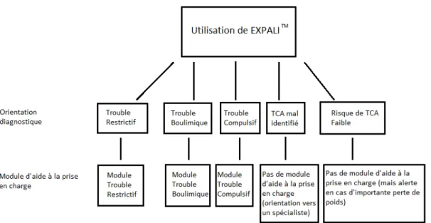 Figure n°2 : Structure générale de EXPALI™ 