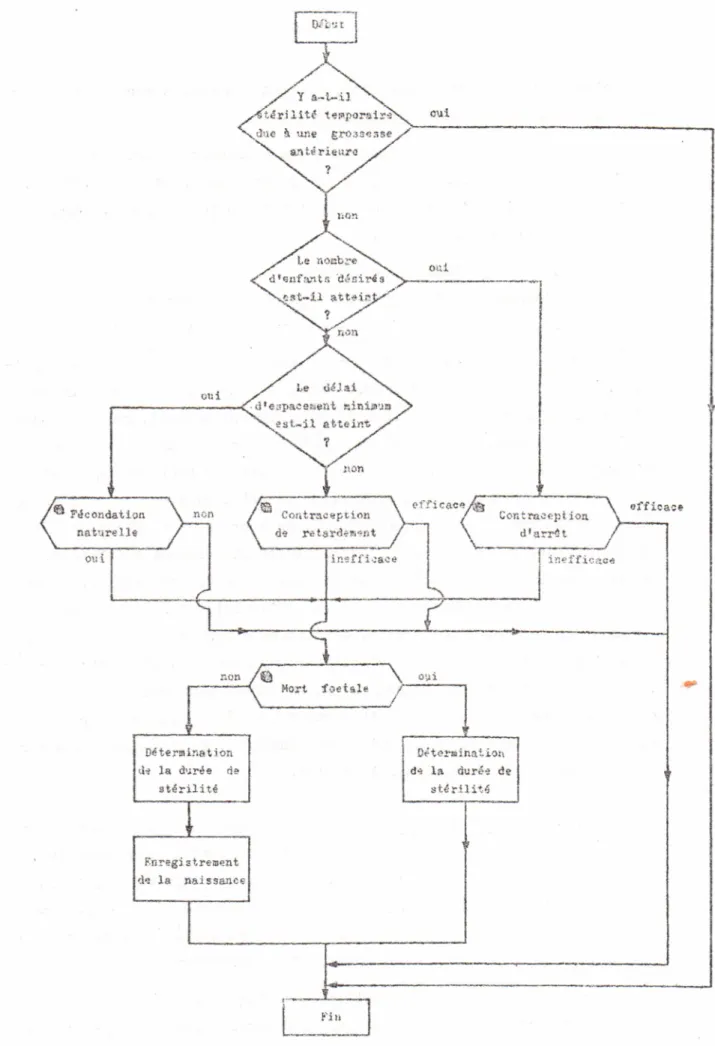Figure n Q 13 Simulation de la phase de conceptjon pour les femne~ mariées.