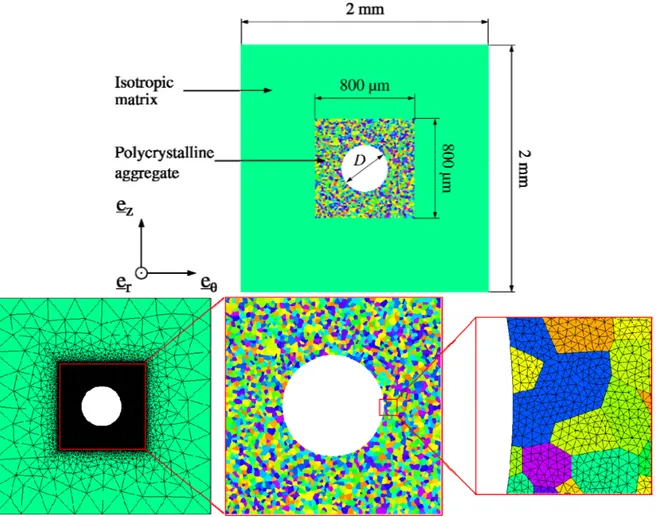 Figure 1: Shape and dimensions of the polycrystalline aggregate and the matrix used in the 2D finite element model.