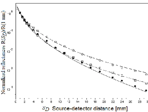 Figure 3. Normalized reflectances R(S D )/R(1 mm) obtained from the Monte Carlo simulation, with a sphere radius r s =35mm,  (symbols) and from the equation (1), with C1= 0.118 and C2=0.306, (lines) in the continuous mode (f=0Hz) for 3 set of optical  coef