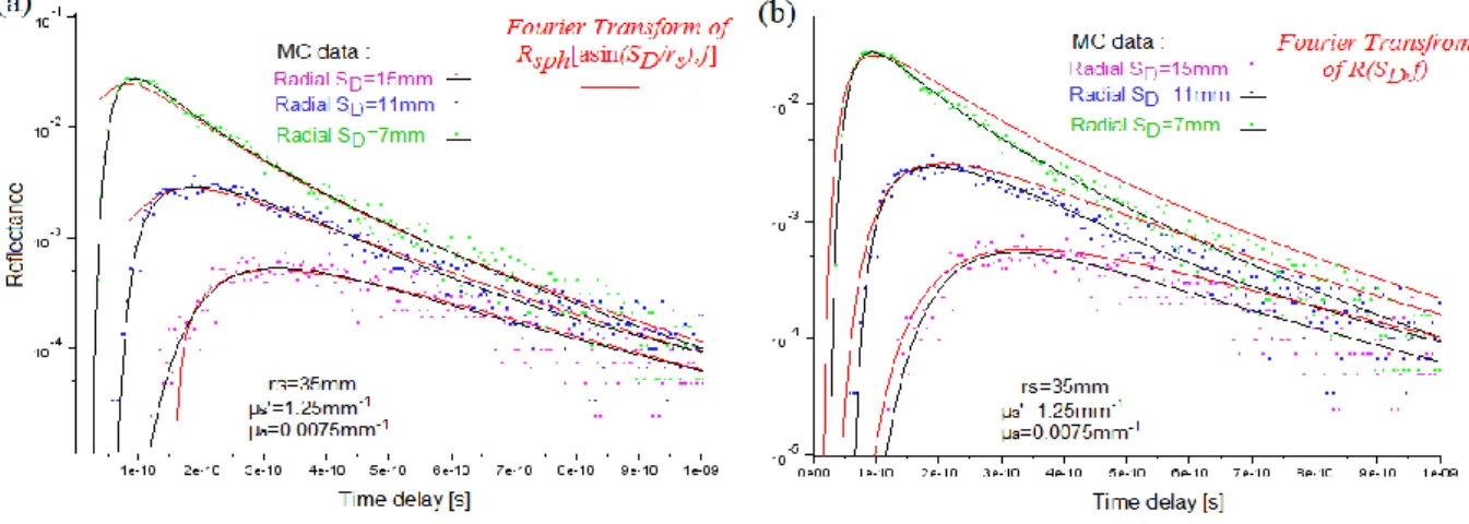 Figure  5. Plot of  a  time-resolved  reflectance  obtained  from  the  Monte  Carlo  simulation,  with  a  sphere  radius  r s =35mm,  and  from : (a) the Fourier transform of R sph [asin(S D /r s ),f] ;  (b)  the Fourier transform of R(S D ,f).