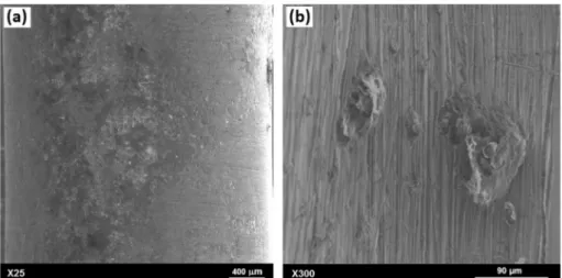 Fig. 3. (a) Surface of a specimen after pre-corrosion in the salt fog chamber, (b) zoom on a corrosion pit.